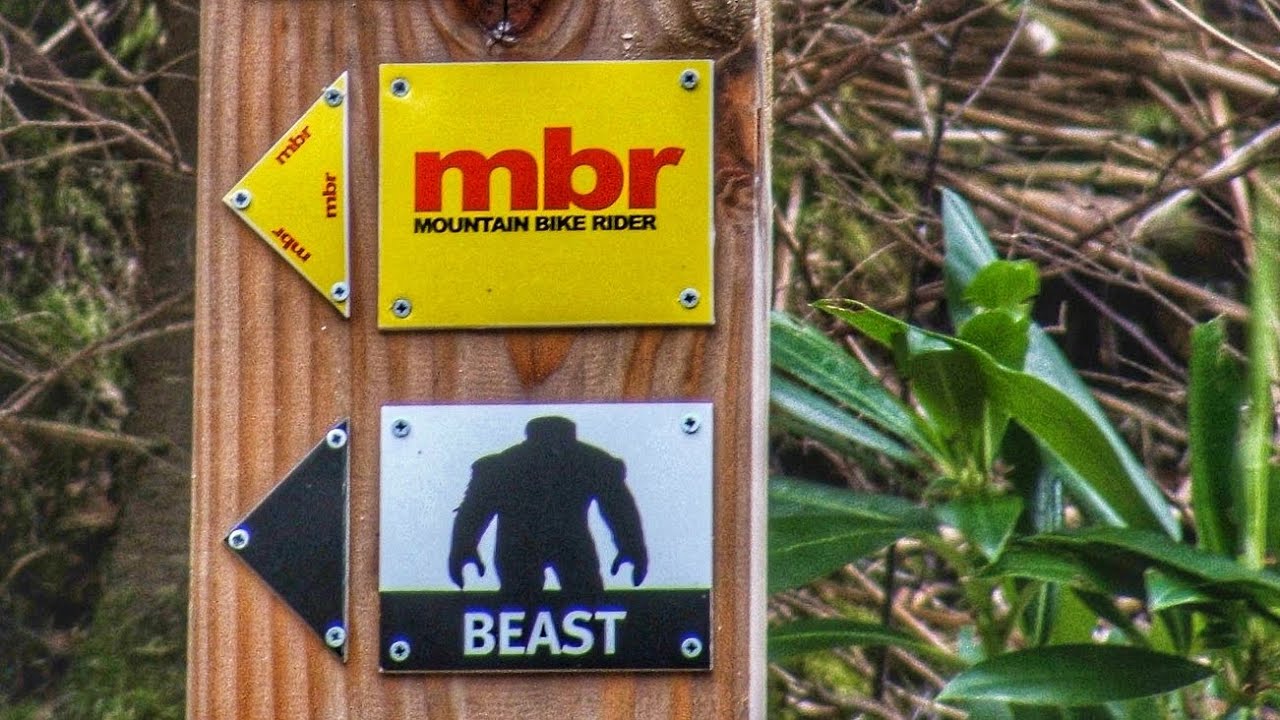 Coed Y Brenin MBR trial MTB
