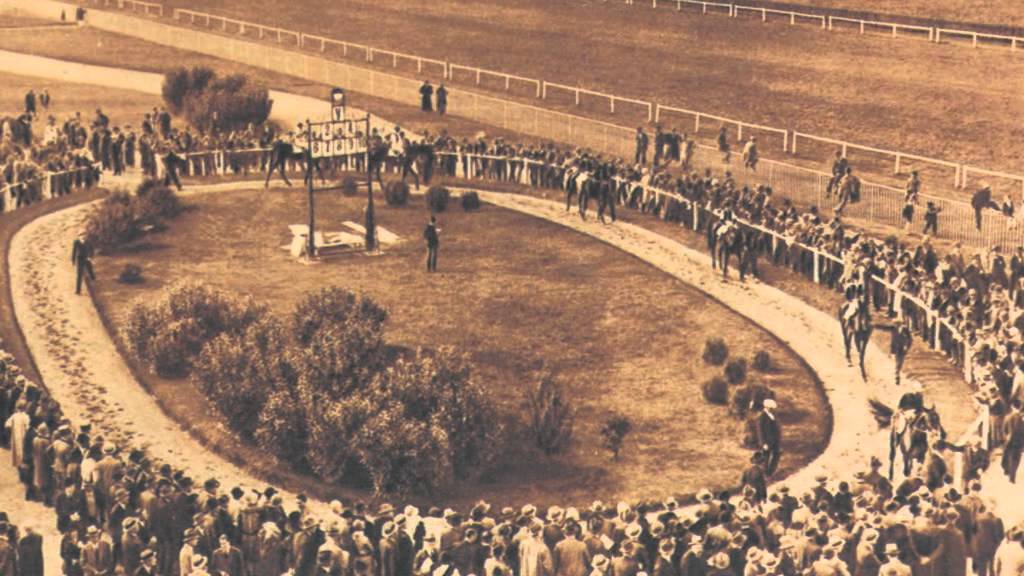 Hemingway e il cavallo viola di Giuseppe Moscuzza