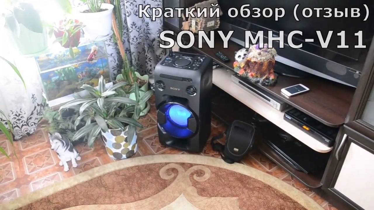 Краткий обзор-отзыв Sony MHC-V11