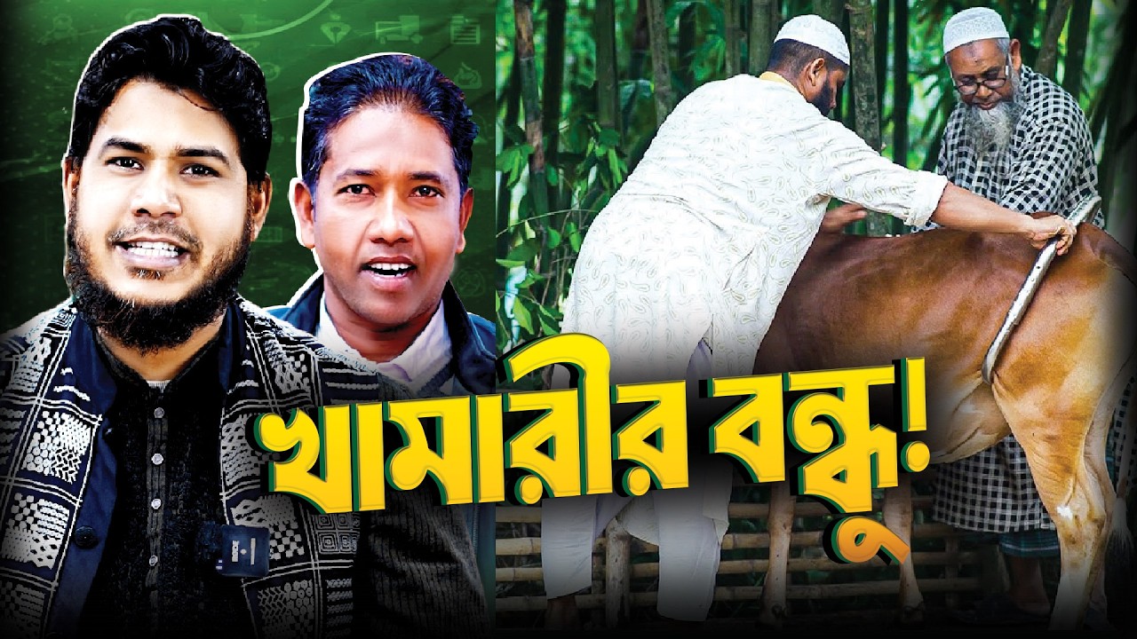 গরু লাথি মারলে কী করবেন? আর দুধ দোহনের সহজ সমাধান দেখুন!
