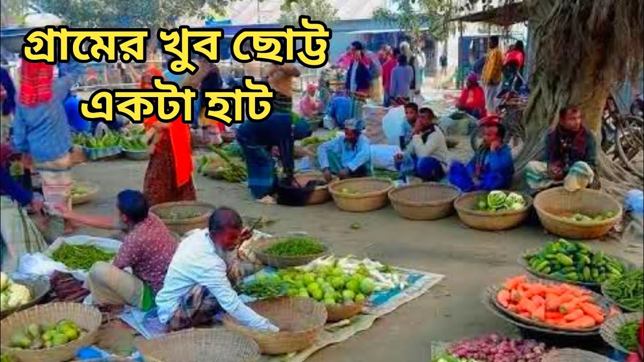 গ্রামের ছোট হাট বাজার | Real Village Hat Bazar Experience | পীরগাছা বাজার বগুড়া 