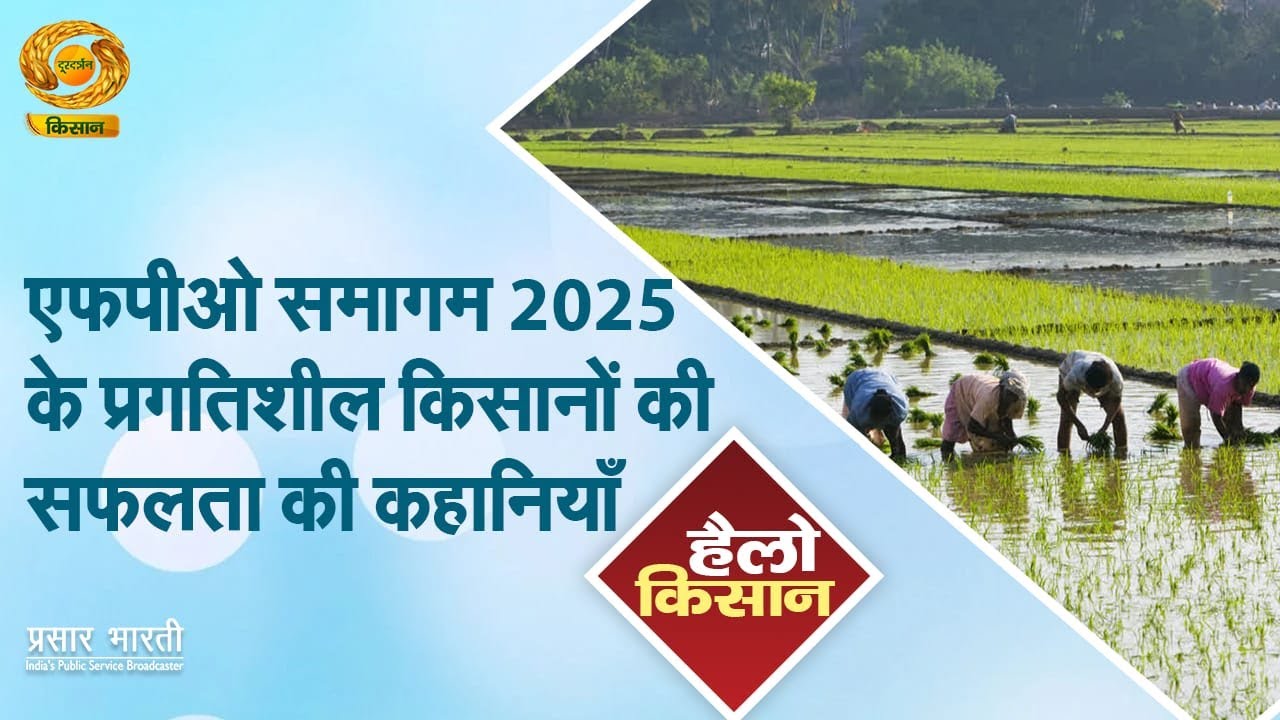 Hello Kisan | एफपीओ समागम 2025 के प्रगतिशील किसानों की सफलता की कहानियाँ | DD Kisan | Jan.19, 2026