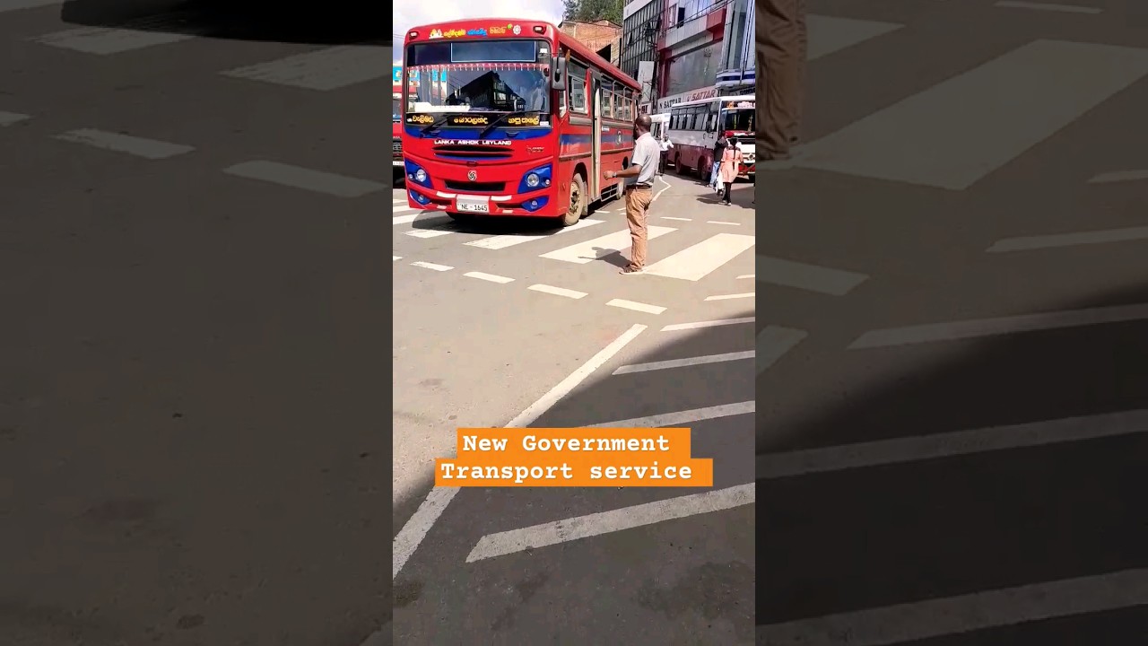 New government transport service #bus #wow
