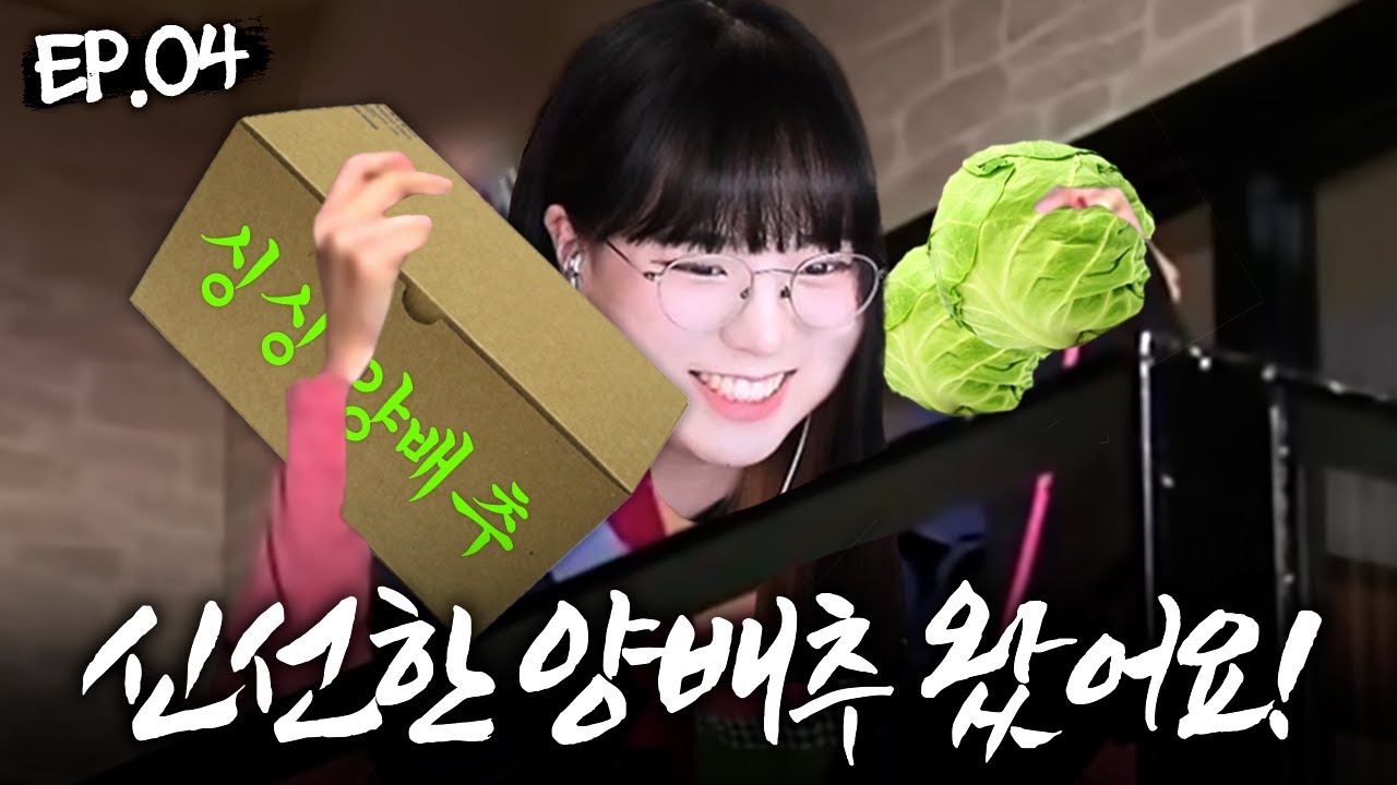??? : 신선한~~~ 양배추~~~~~