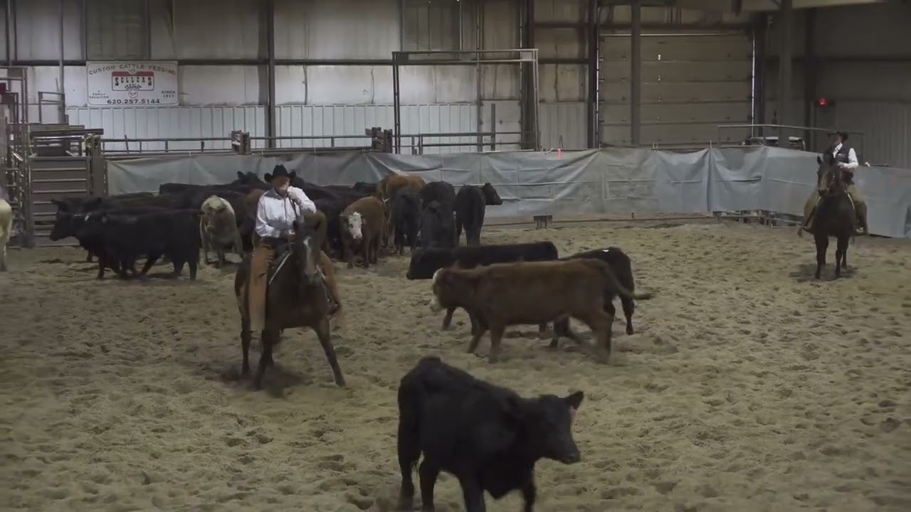 Unbelievable Boon: 75k Amateur at 2026 WSCHA March Show