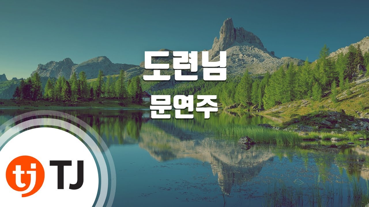[TJ노래방] 도련님 - 문연주 / TJ Karaoke