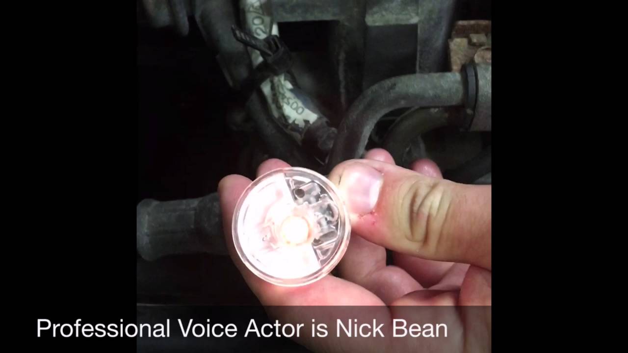 noid light
