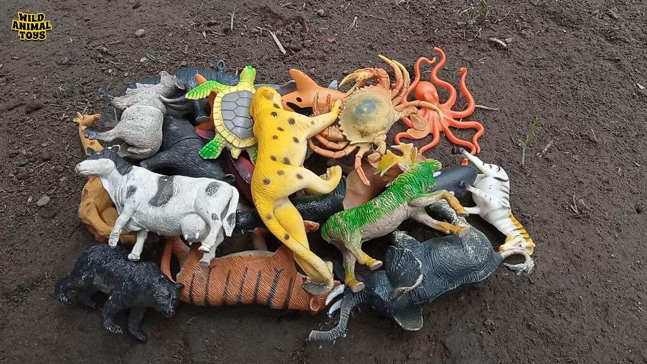 3:43 Minutes Statisfying Exploring and Review Wild Animal Toys Action Figure Collection