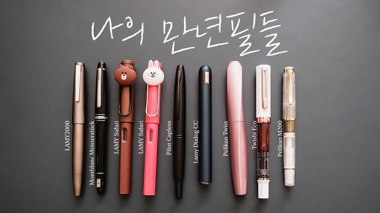 나의 만년필들