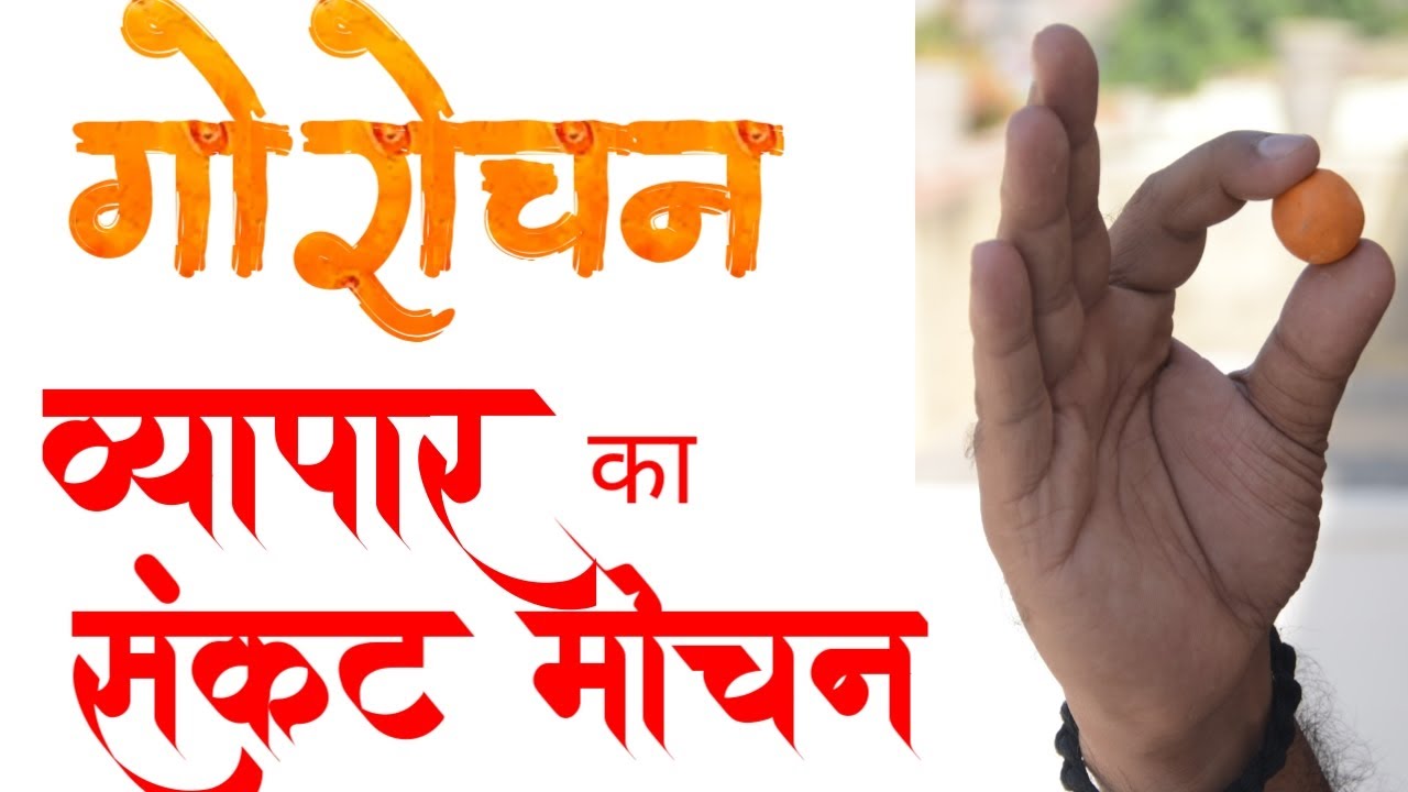 गोरोचन के फायदे | Gorochan kya hota hai in hindi | Gorochan kaha milega |  Acharya Chandrakant