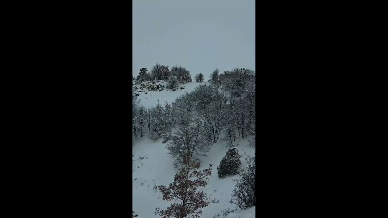 köy