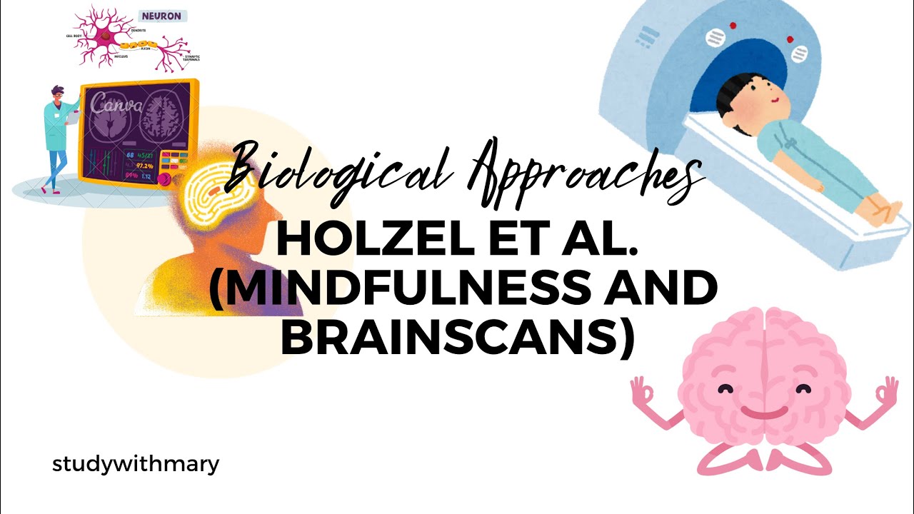 Holzel et al. (Mindfulness and Brainscans) study Cambridge As Level Psychology