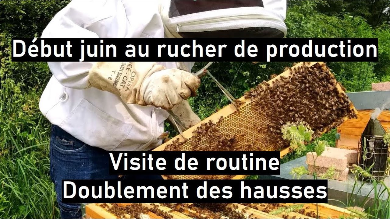 Saison 02 - épisode 25 : visite de routine en production