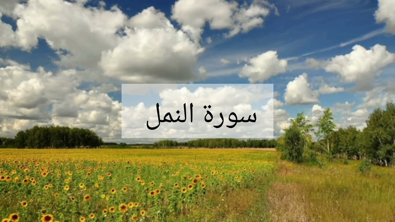 سورة النمل الشيخ احمد العجمي 