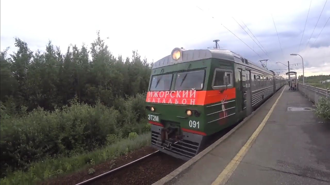 441) 