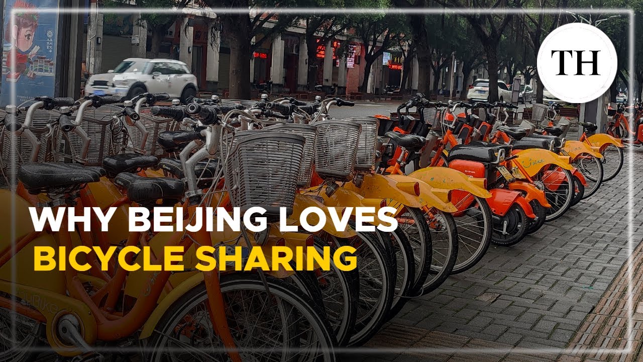 Why Beijing loves bicycle sharing | The Hindu