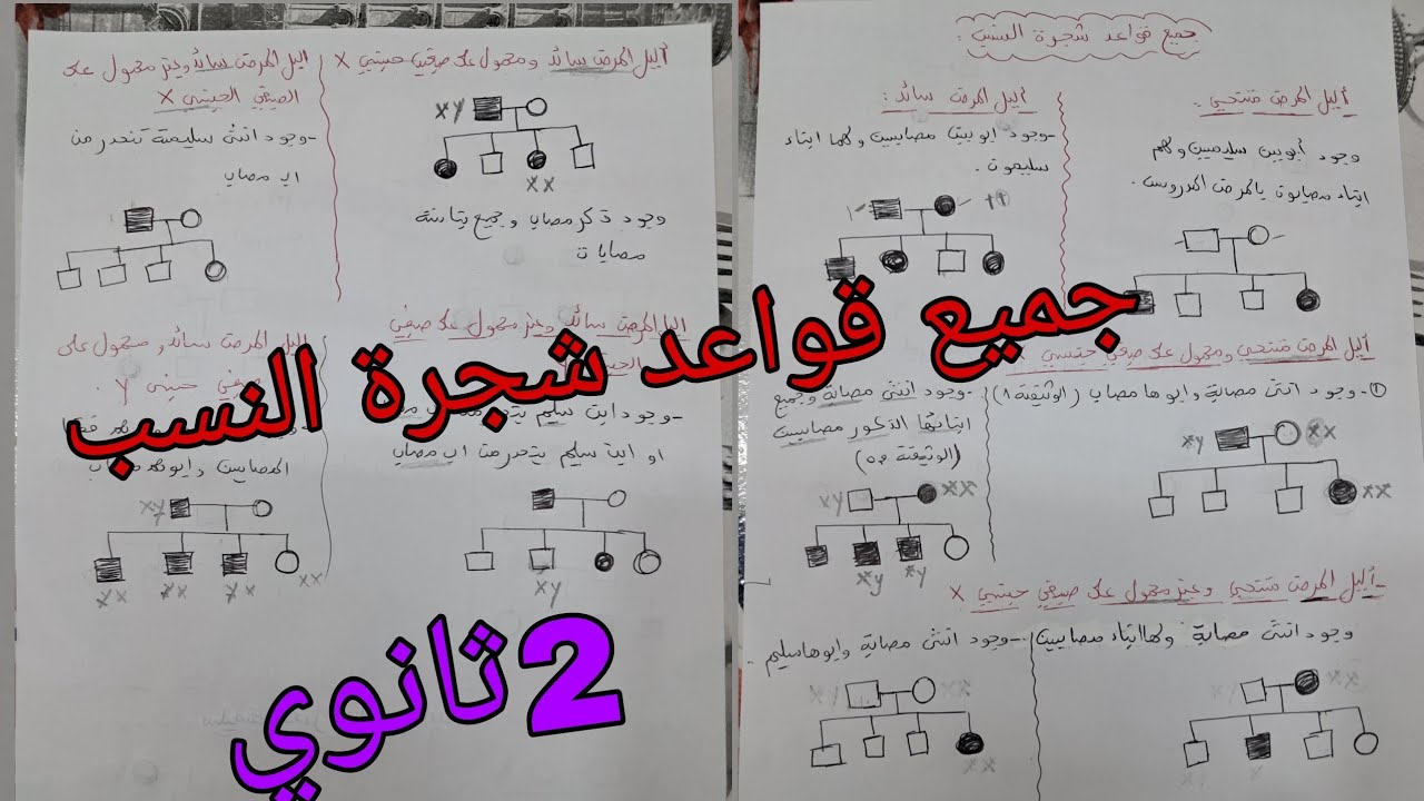 جميع قواعد شجرة النسب علوم طبيعة للسنة الثانية ثانوي