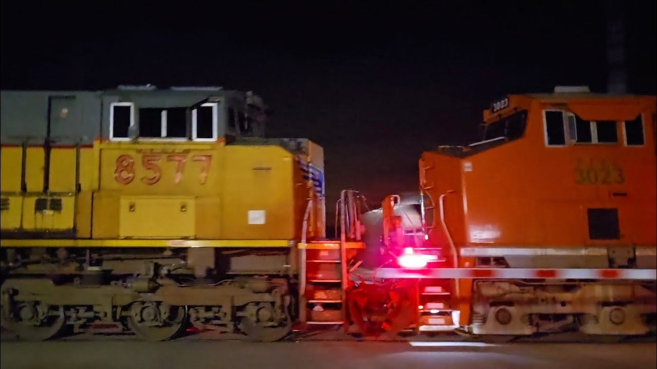 P364, (Q/X)137, and A491 in imlay city 