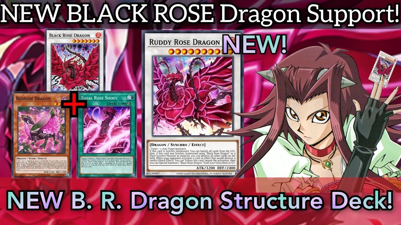 8/10 NEW RUDDY ROSE DRAGON! Structure Deck EX w/ Black Rose Dragon Support! [Duel Links]
