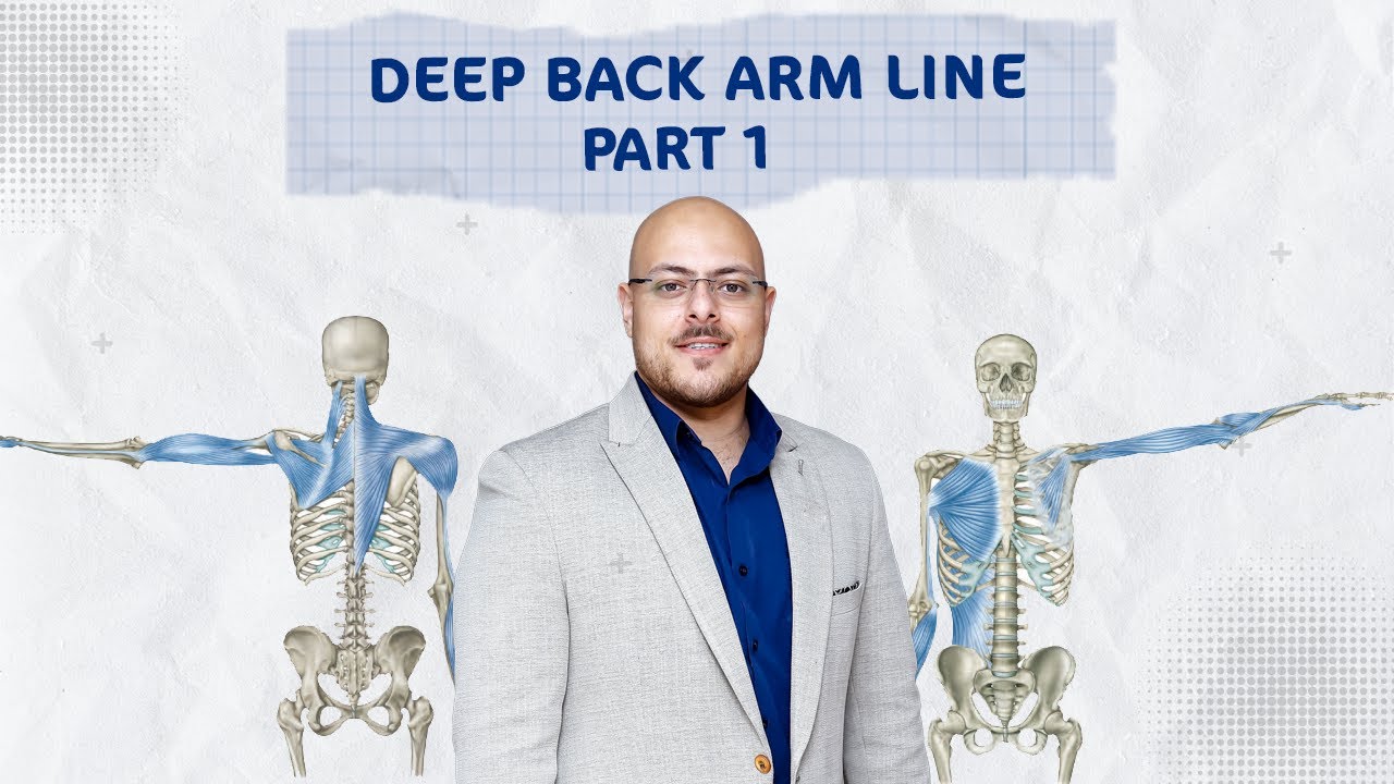Unlocking the Secrets of the Body's Anatomy Train: Deep Back Arm Line | د/ أحمد مبروك