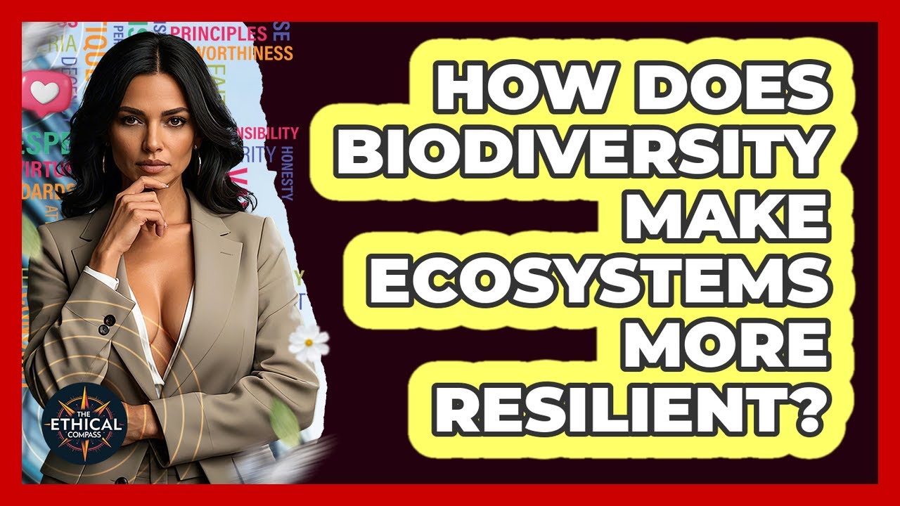 How Does Biodiversity Make Ecosystems More Resilient? - The Ethical Compass