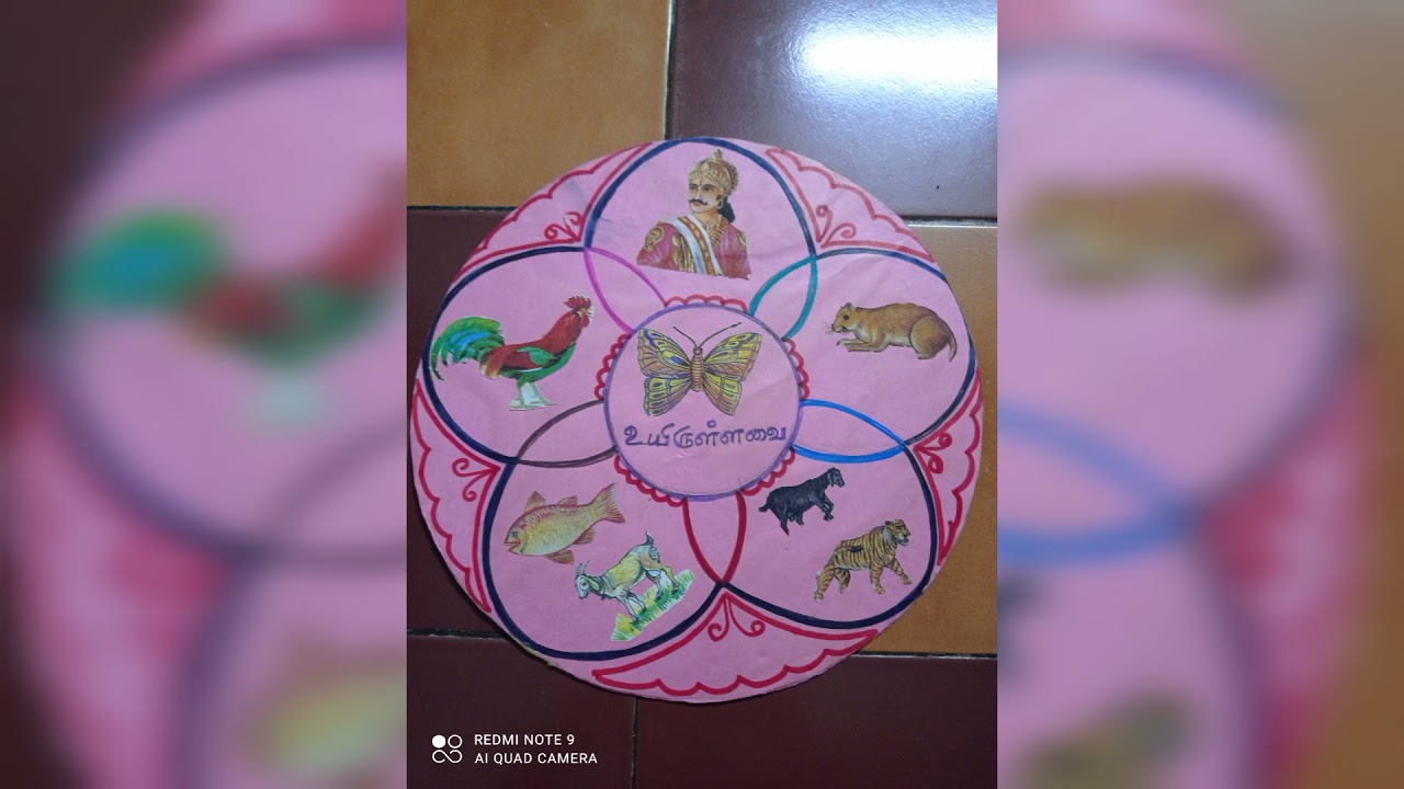 Teaching aids for living and non living things