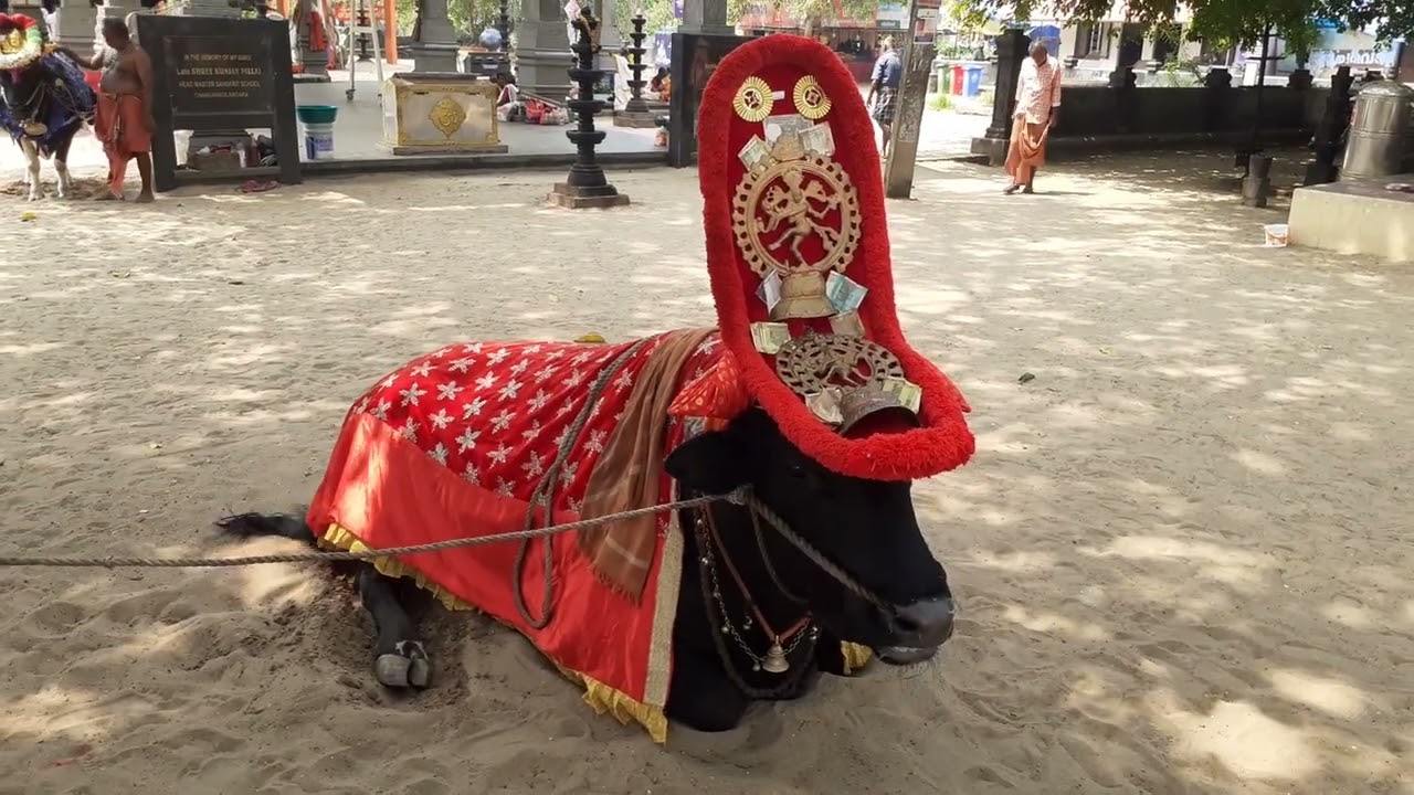 Oachira Parabrahma Temple kollam #viral #temple 