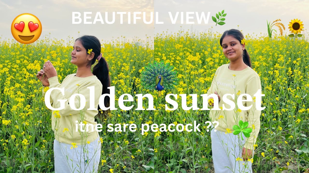 𝐀 𝐏𝐞𝐚𝐜𝐞𝐟𝐮𝐥 𝐄𝐯𝐞𝐧𝐢𝐧𝐠 𝐚𝐭 𝐉𝐚𝐦𝐮𝐧𝐚 𝐉𝐢 | 𝐒𝐮𝐧𝐬𝐞𝐭 & 𝐏𝐞𝐚𝐜𝐨𝐜𝐤 𝐕𝐢𝐞𝐰|𝐯𝐥𝐨𝐠 𝐛𝐲 𝐚𝐧𝐧𝐮