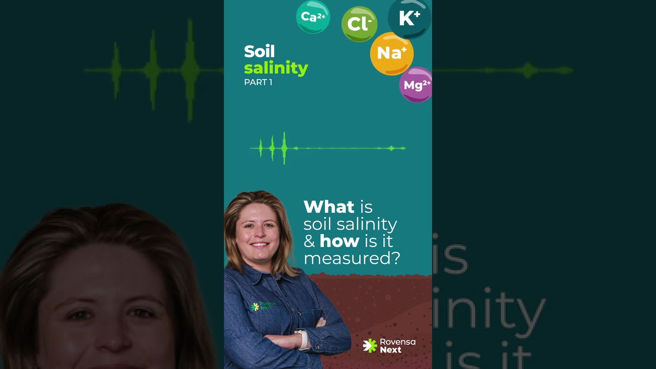 Soil salinity | Pt. 1