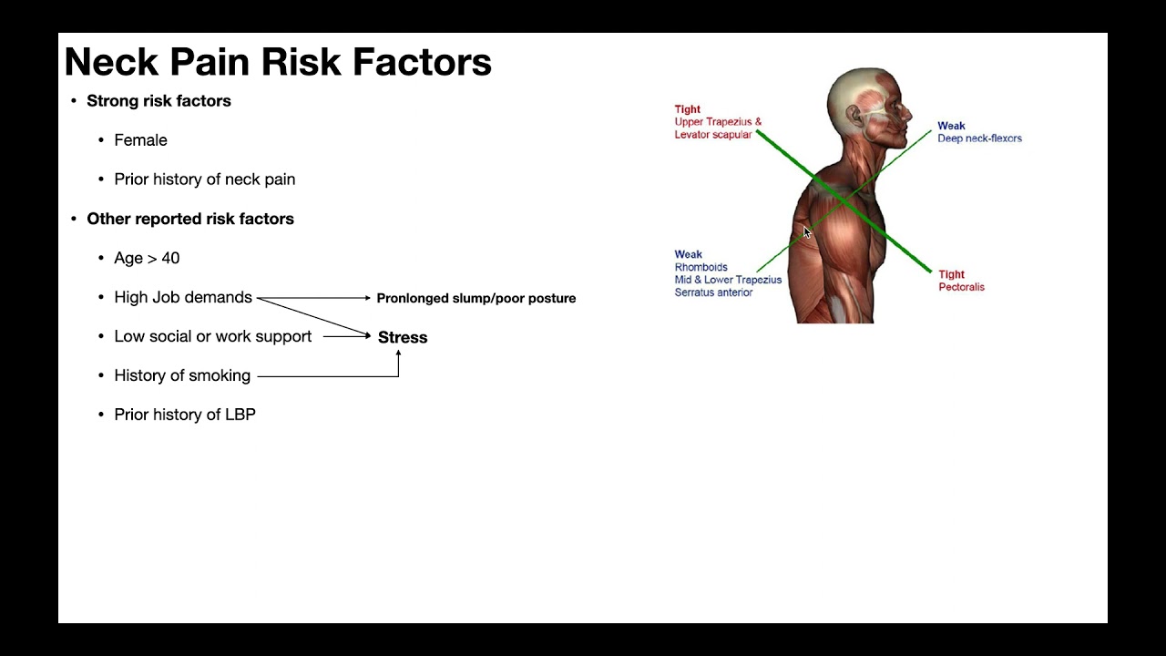 Neck Pain | Introduction, Risk Factors, & Prognoses