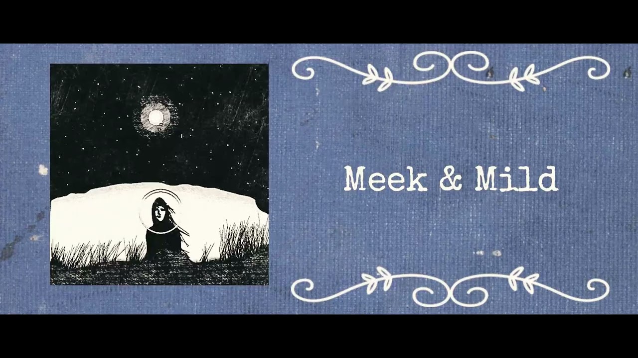 Days Of Stellar - Meek & Mild