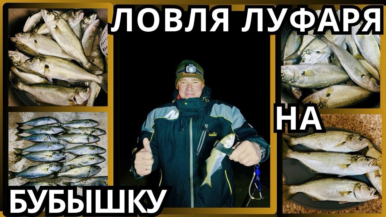 Как поймать луфаря на бубышку.