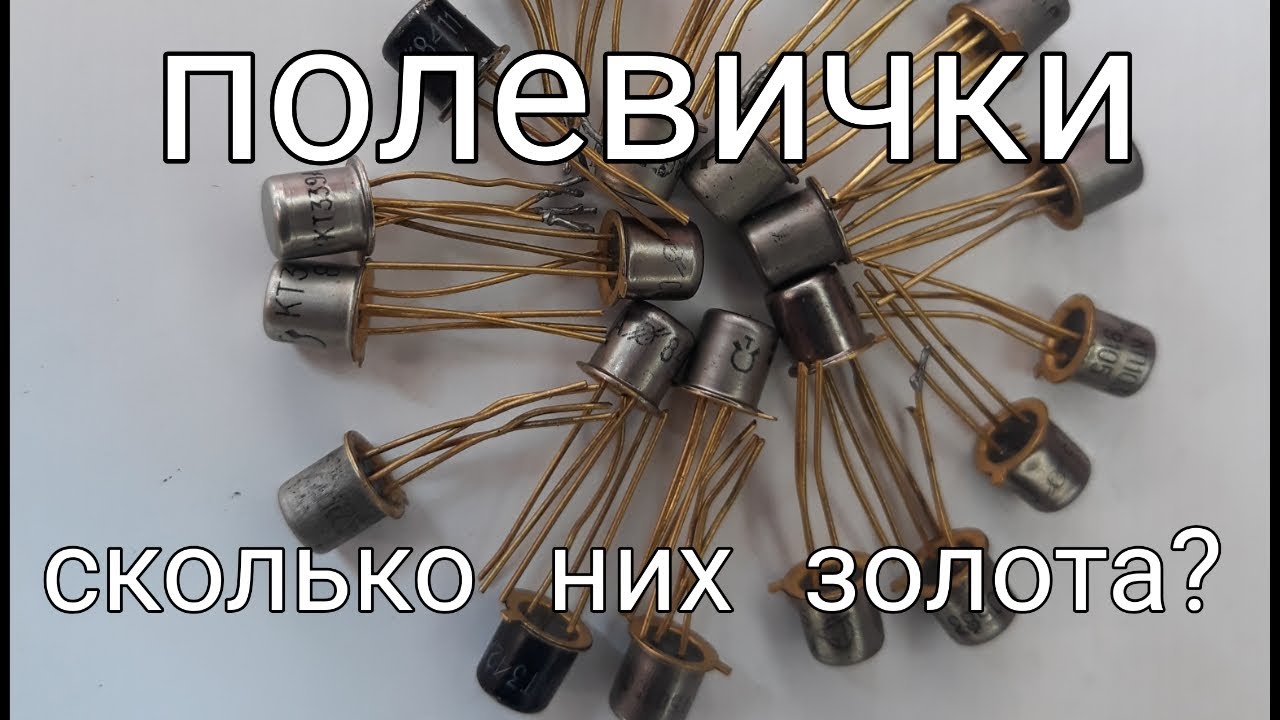 Полевики. Содержание золота.