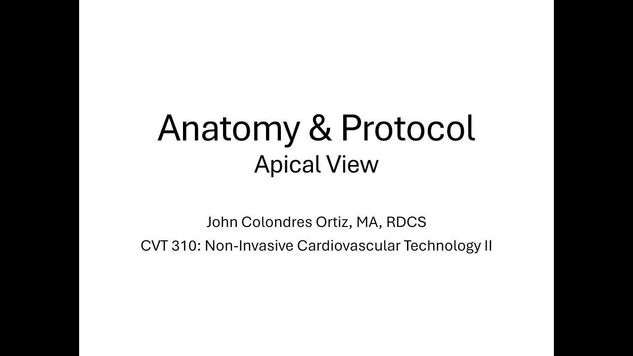 CLASE APICAL