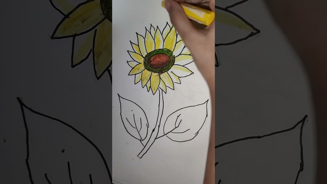 How to draw a Sunflower 