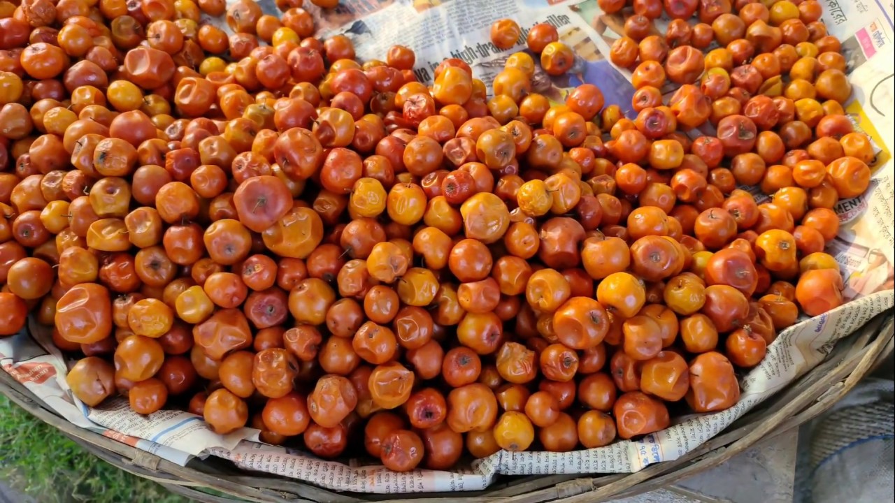 Mouthwatering Masala Spicy Tasty JUJUBE || Indian Street food Kolkata