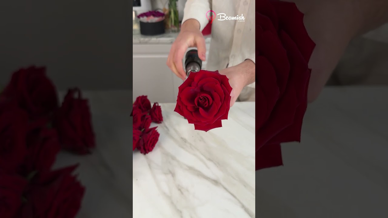 Fun drill rose hack 🌹 #funny #rose #drill #valentinesrose