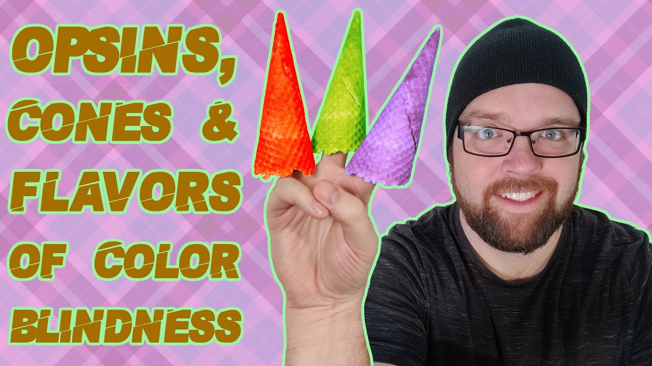 The Cones + Types of Colorblindness