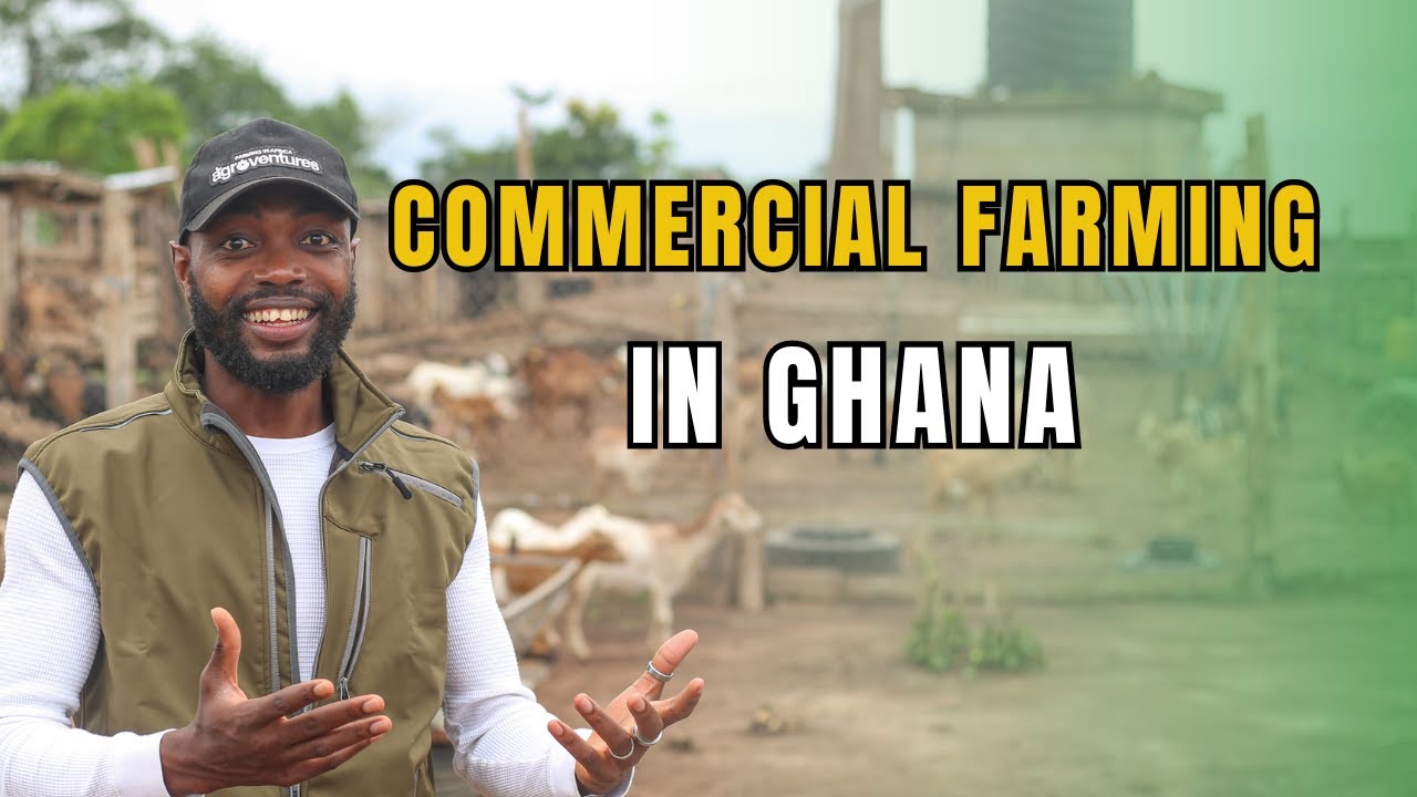 I VISITED ONE OF THE BIGGEST LIVESTOCK INTEGRATED FARMS IN GHANA