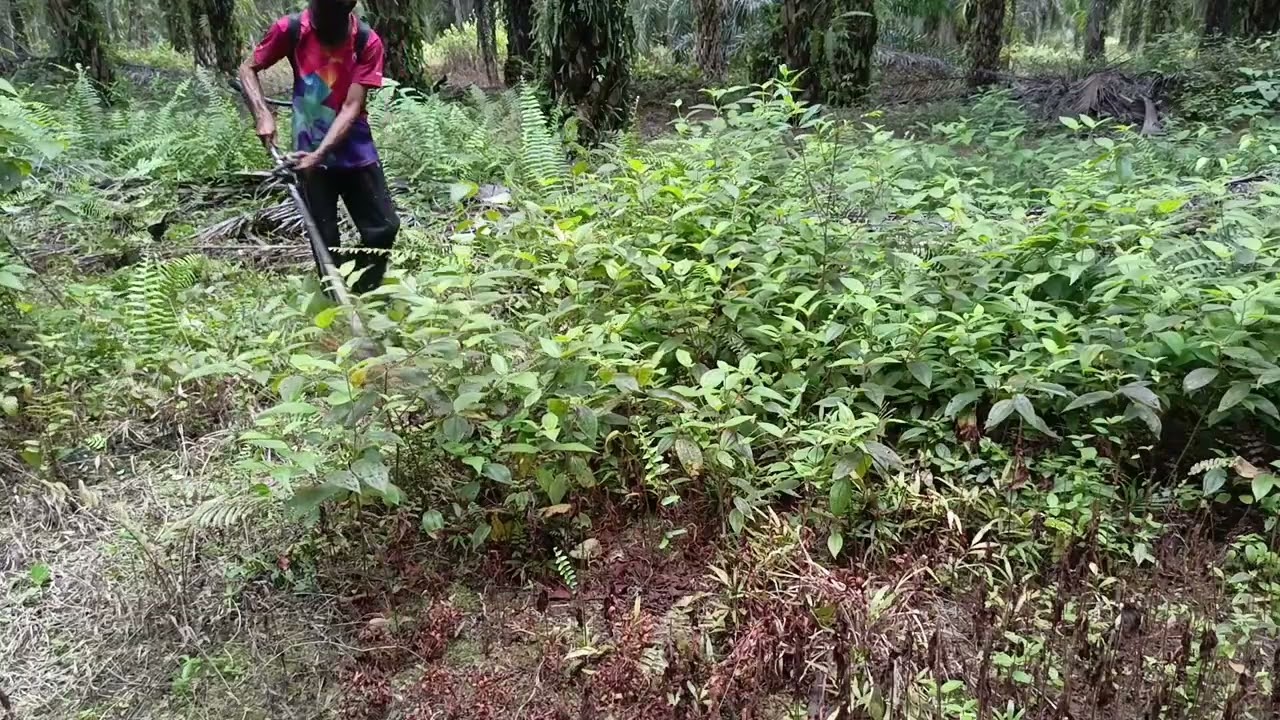 libas menggunakan nilon