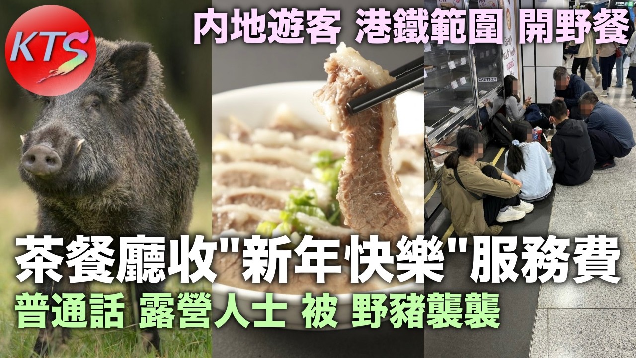 茶餐廳收新年快樂服務費 普通話露營人士被野豬襲襲 內地遊客在港鐵範圍開野餐觀賞賀年煙花
