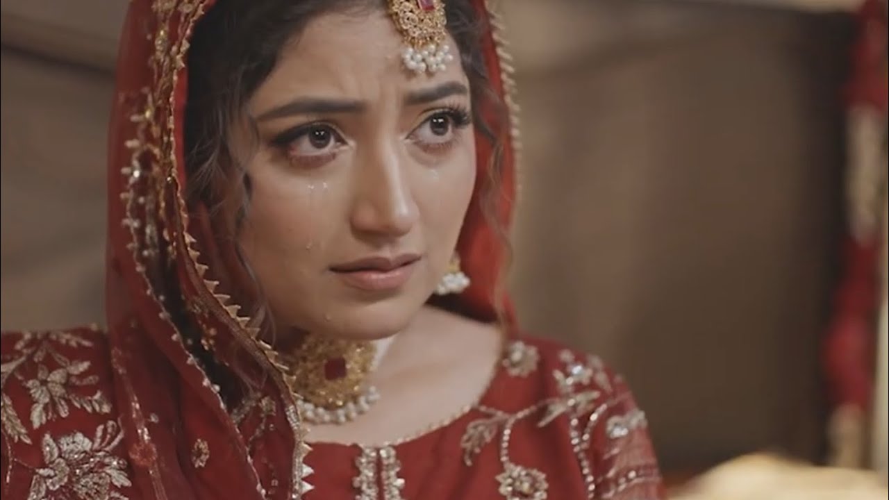 SharPasand Episode 41 Promo Review | Naumaan Ijaz | Hareem Farooq | Affan Waheed | Hira Mani