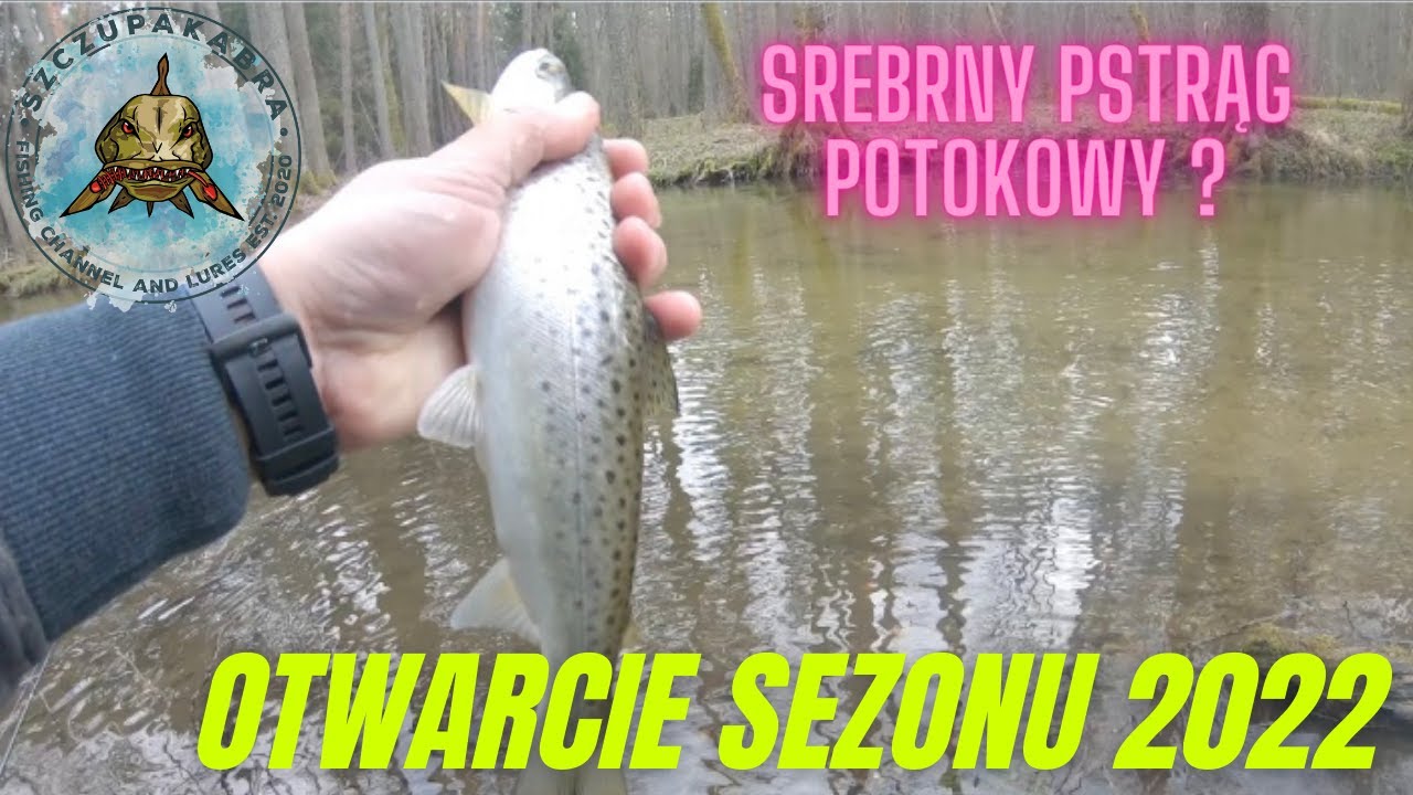 WIOSENNE PSTRĄGI Z MAŁEJ RZEKI W KWIETNIU 2022 / OTWARCIE SEZONU  / PSTRĄGI NA SPINNING / WĘDKARSTWO