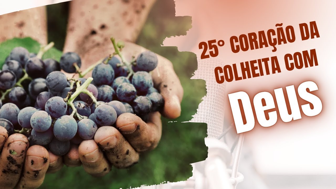 25°ORAÇÃO DA COLHEITA COM DEUS Não desanime não perca a sua fé 