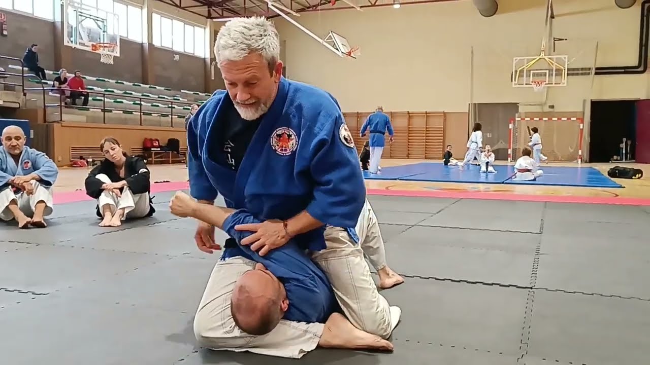 Jiujitsu, Karate jutsu, Kaisendo, Defensa Personal Catalunya