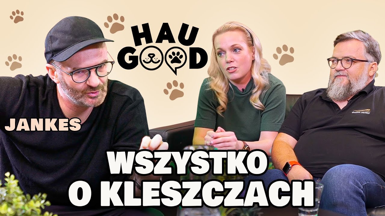 Jak chronić swojego psa przed kleszczami? Zobacz sprawdzone metody | HAU GOOD