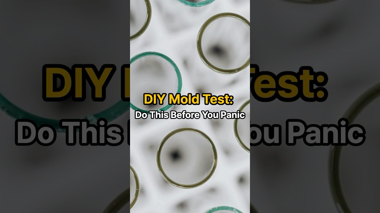 DIY Mold Test: Do This Before You Panic #mold #diymoldtest #homehealth #blackmold