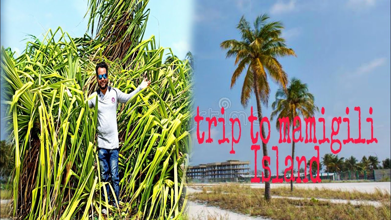 mamigili island tour in Maldive