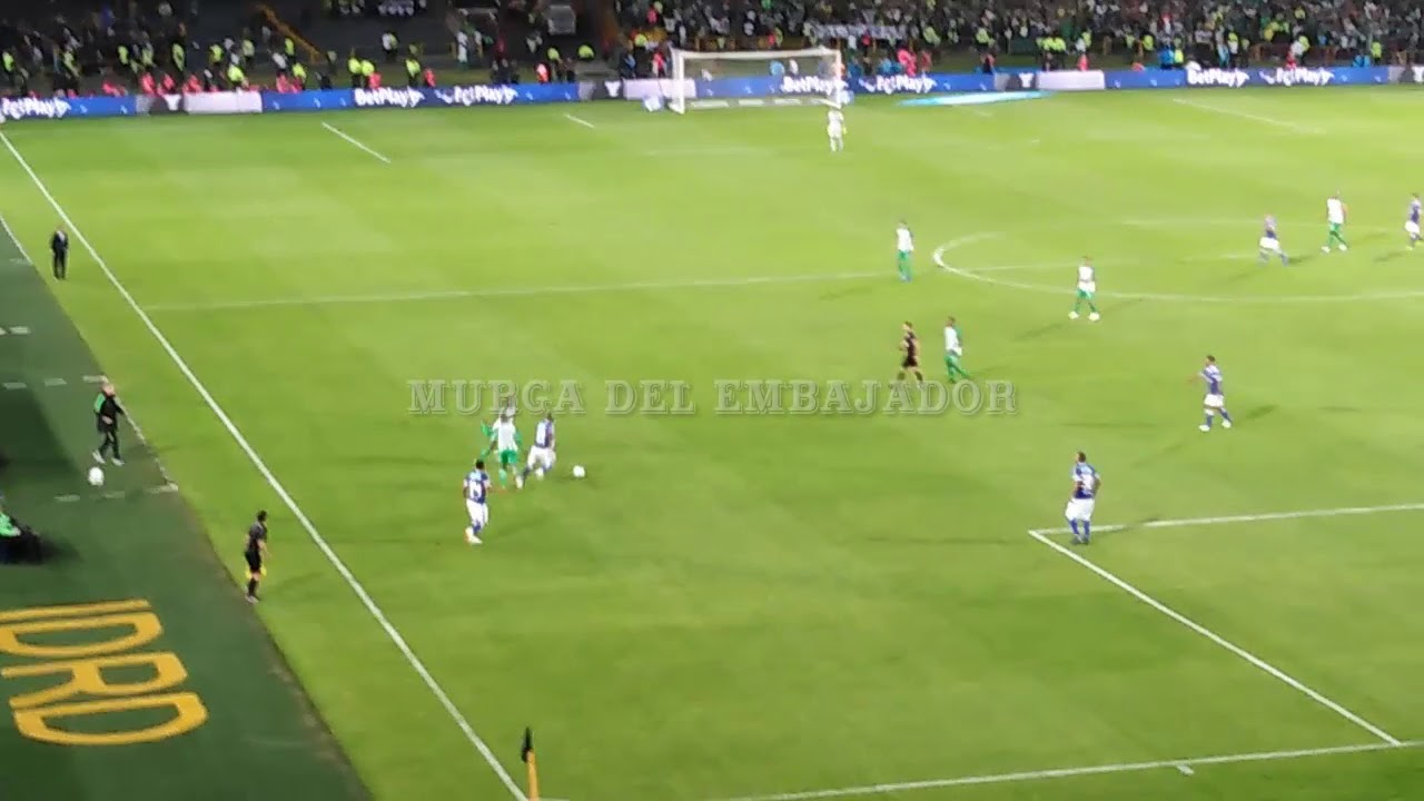 GANAMOS EN LA CANCHA Y EN LA TRIBUNA! MILLONARIOS - NAL | 2019
