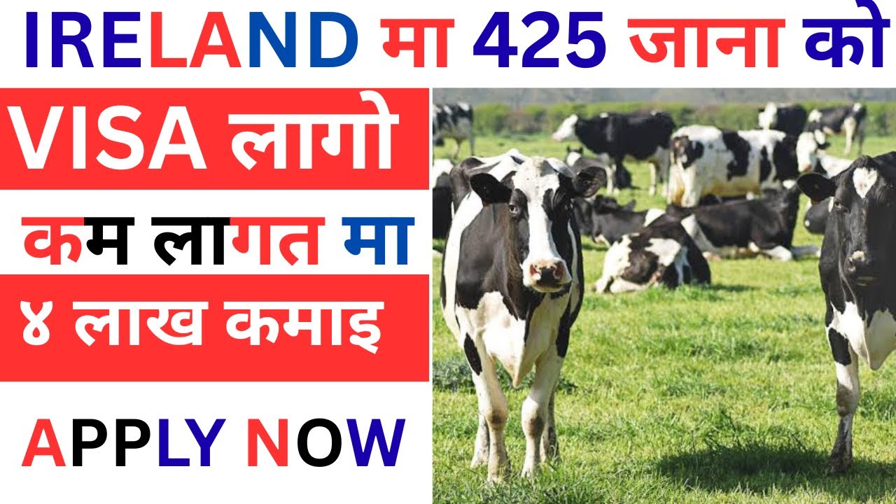 IRELAND मा 425 जाना को भीसा | how to apply ireland work visa from nepal 2026 | Ireland work visa